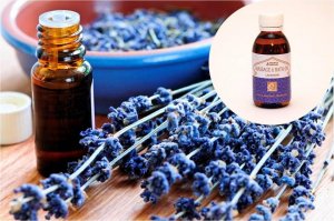 484717_508767935839982_69355838_n